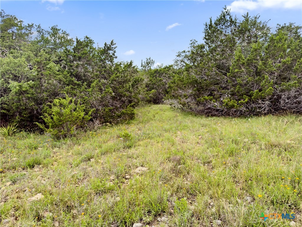 141 Vista View Place Spring Branch, TX 78070 - Photo 13 of 32