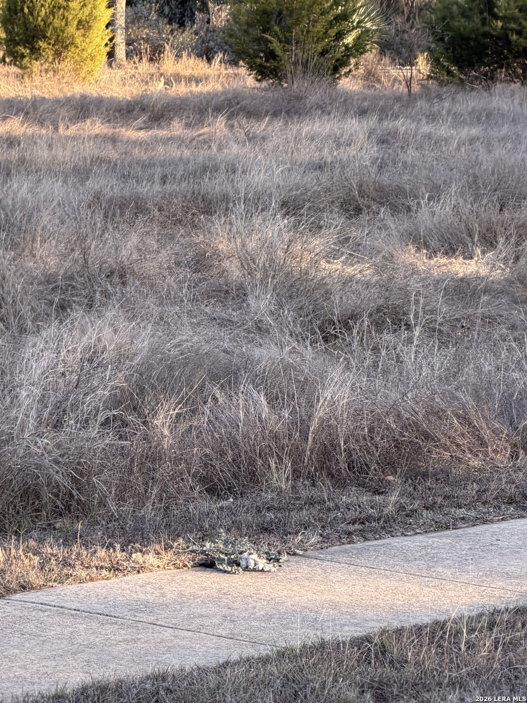 1046 Monteola Bulverde, TX 78163 - Photo 7 of 14