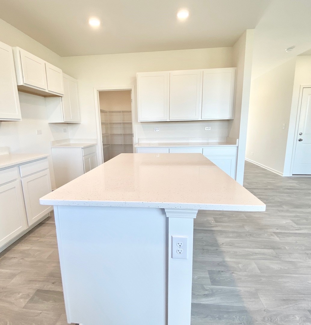 422 Dollinger Drive Romeoville, IL 60446 - Photo 11 of 36