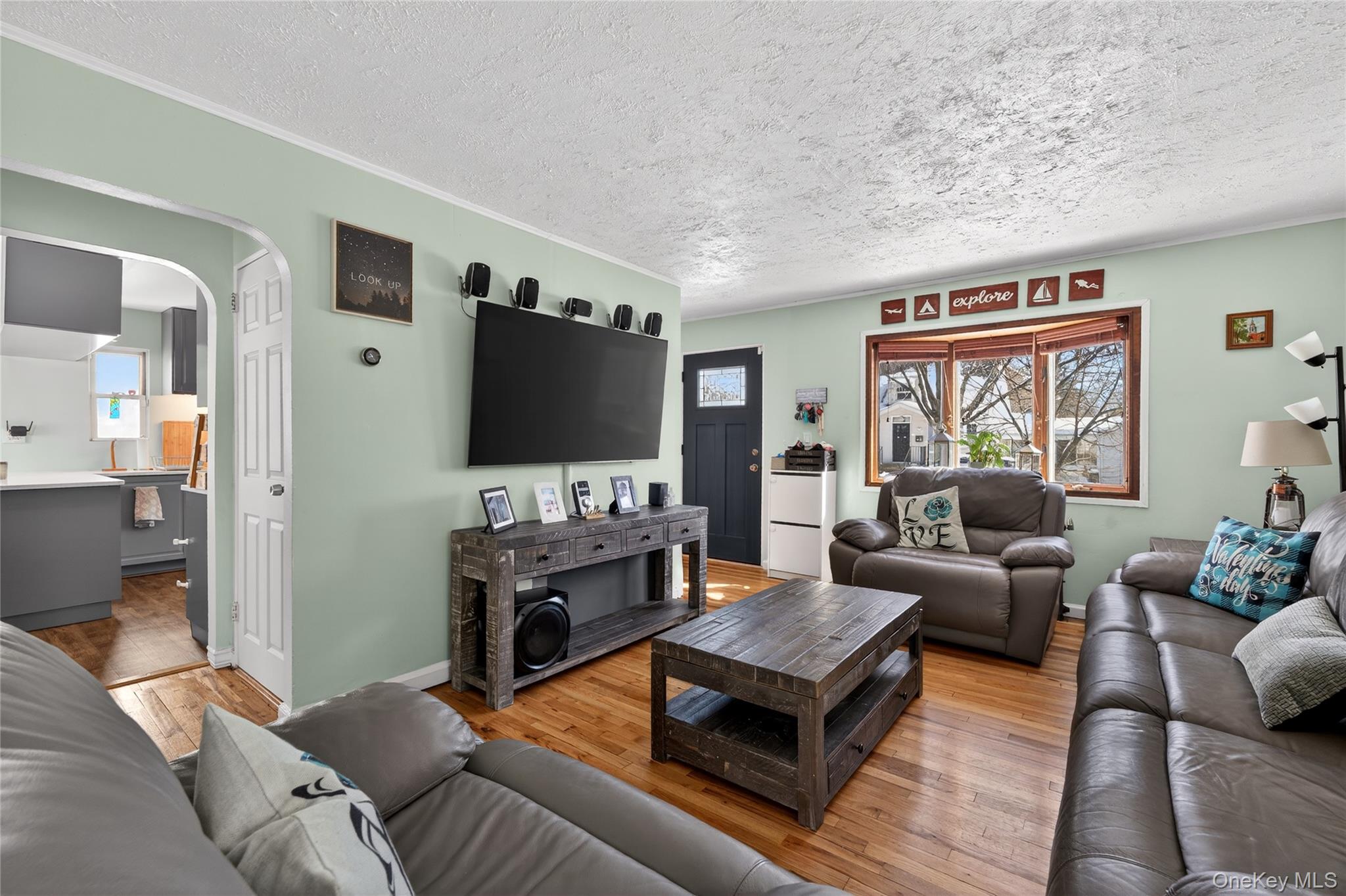 49-54 166th Street Queens, NY 11365 - Photo 16 of 41 a living room with furniture and a flat screen tv
