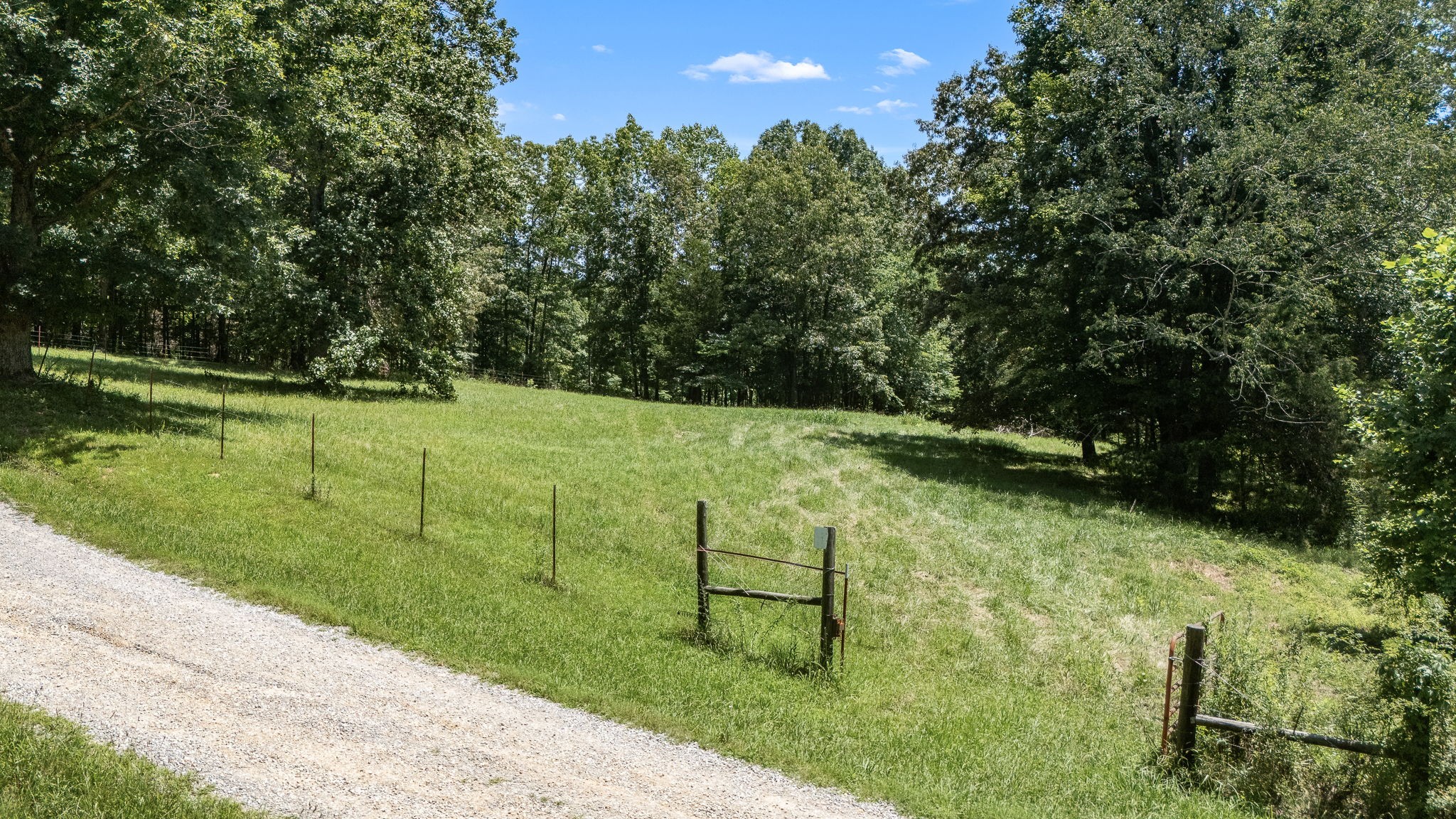 0 Light Lane Kelso, TN 37348 - Photo 6 of 20 Gallery Image 6