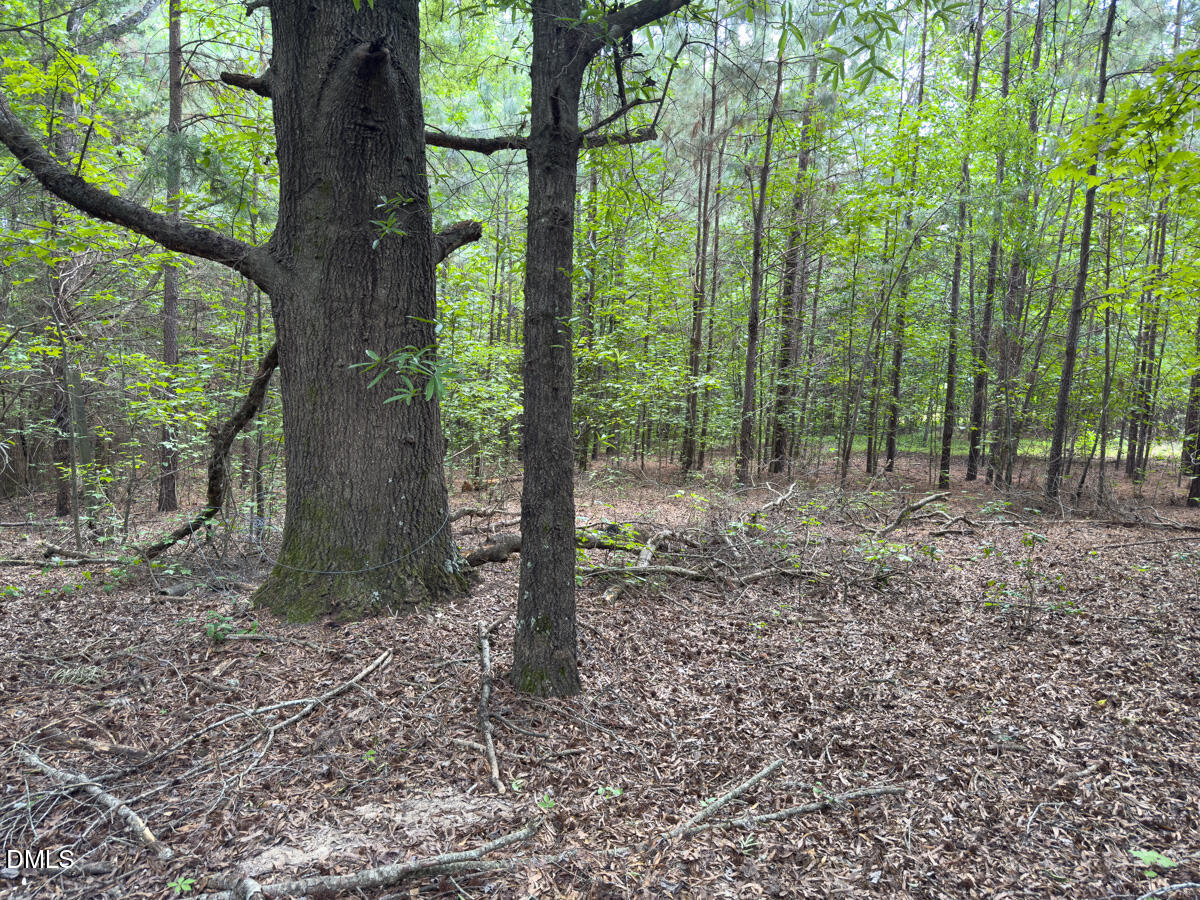 0 Mt Pleasant Church Road Manson, NC 27553 - Photo 41 of 43