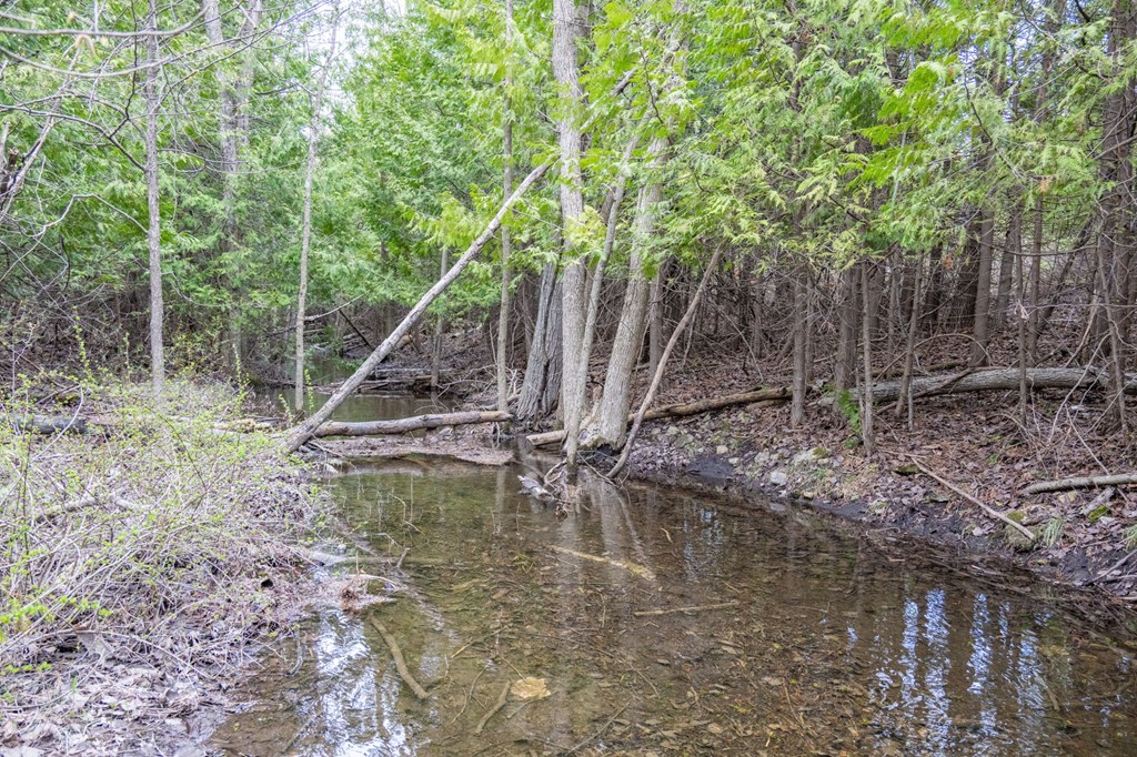 Lot 2 Hill Road Sister Bay, WI 54234 - Photo 4 of 35