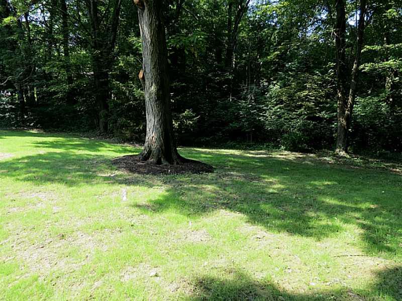 153 Thompson Rd Extension Beaver Falls, PA 15010 - Photo 23 of 24 Yard/Garden.