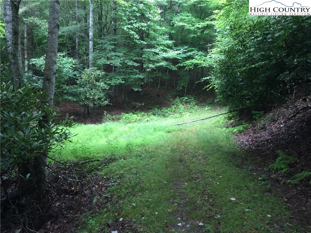 3263 Castle Ford Road Boone, NC 28607 - Photo 21 of 24 Gallery Image 21