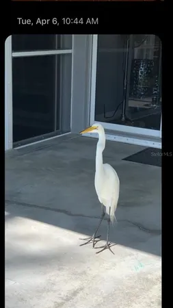 $4,000 | 18289 Wolbrette Circle, Port Charlotte, FL 33948