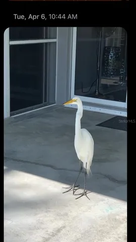 $4,000 | 18289 Wolbrette Circle, Port Charlotte, FL 33948