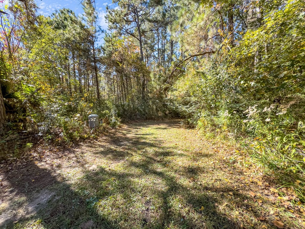 7401 Union Road Hahira, GA 31632 - Photo 33 of 38 Gallery Image 33