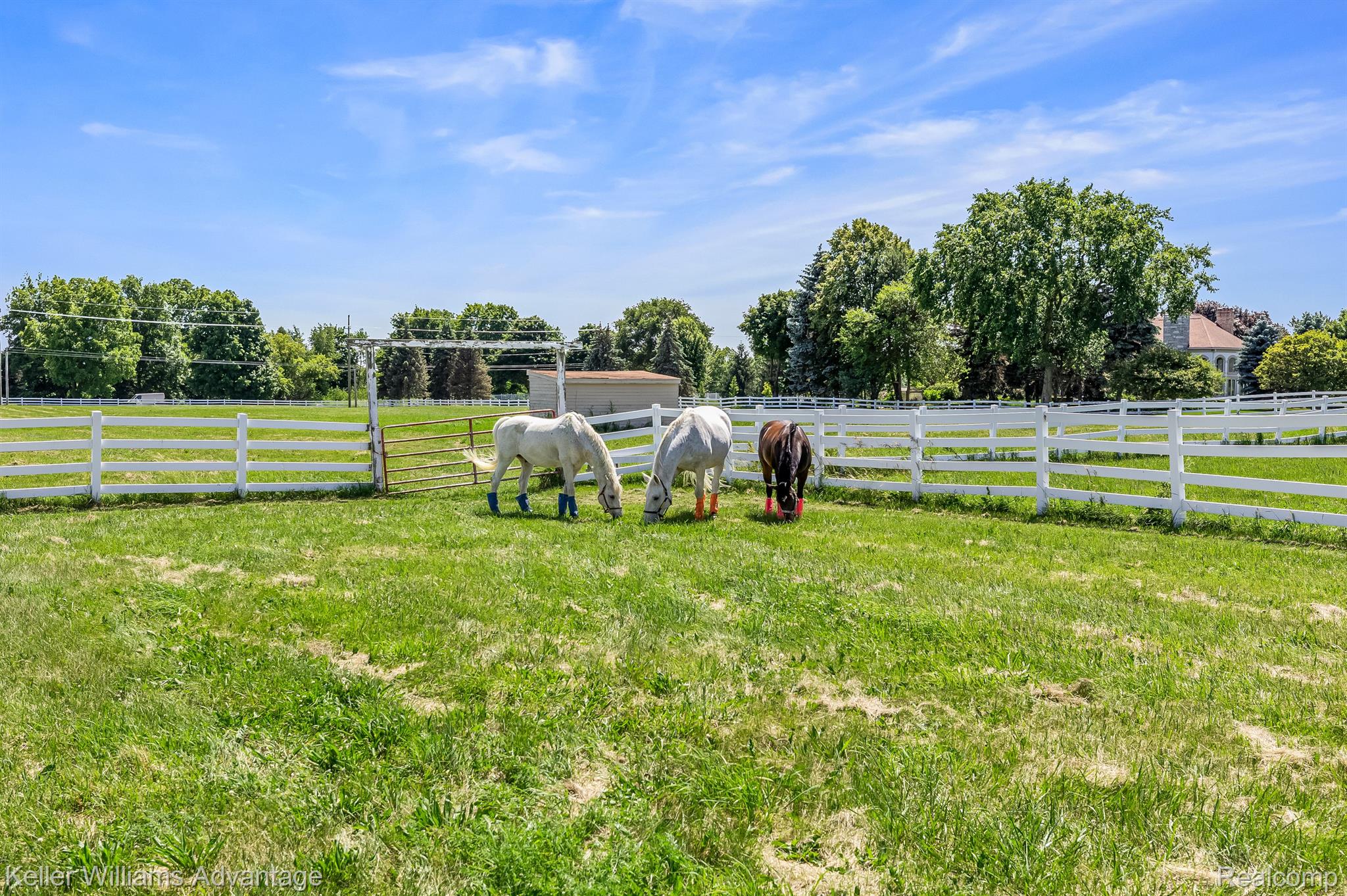 53666 8 Mile Road Northville, MI 48167 - Photo 66 of 79 Gallery Image 66