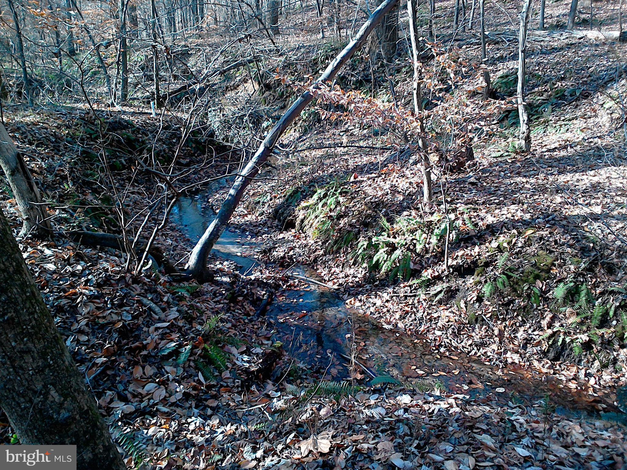 6104 Fishers Station Road Lothian, MD 20711 - Photo 12 of 14 View