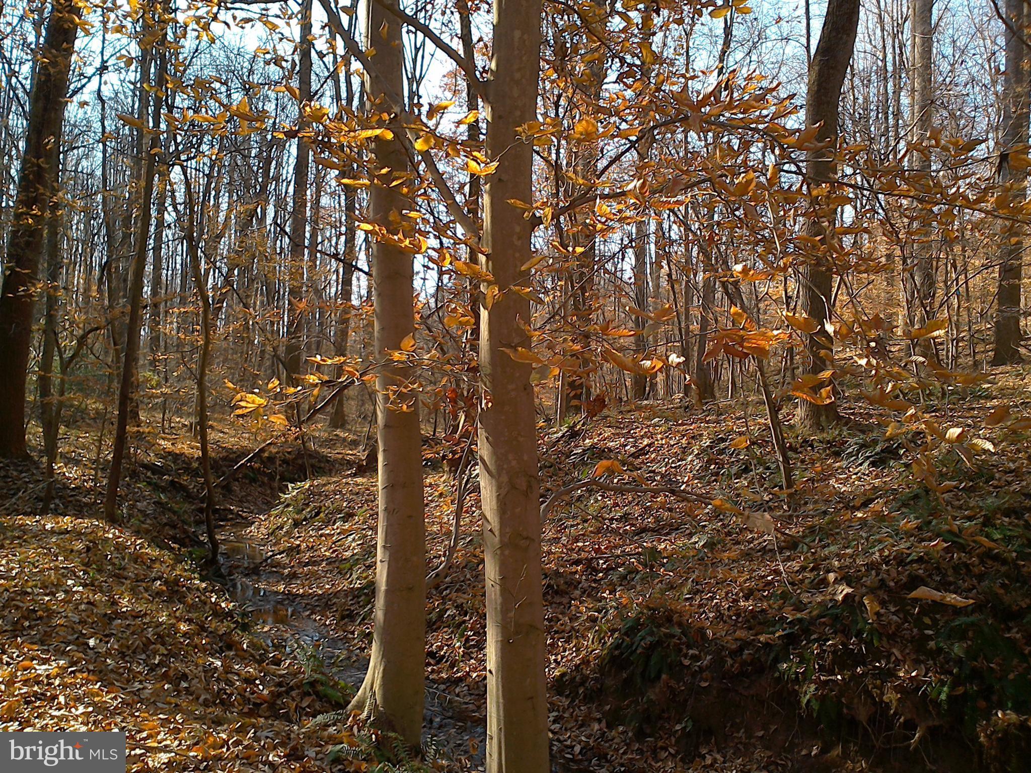 6104 Fishers Station Road Lothian, MD 20711 - Photo 10 of 14 View