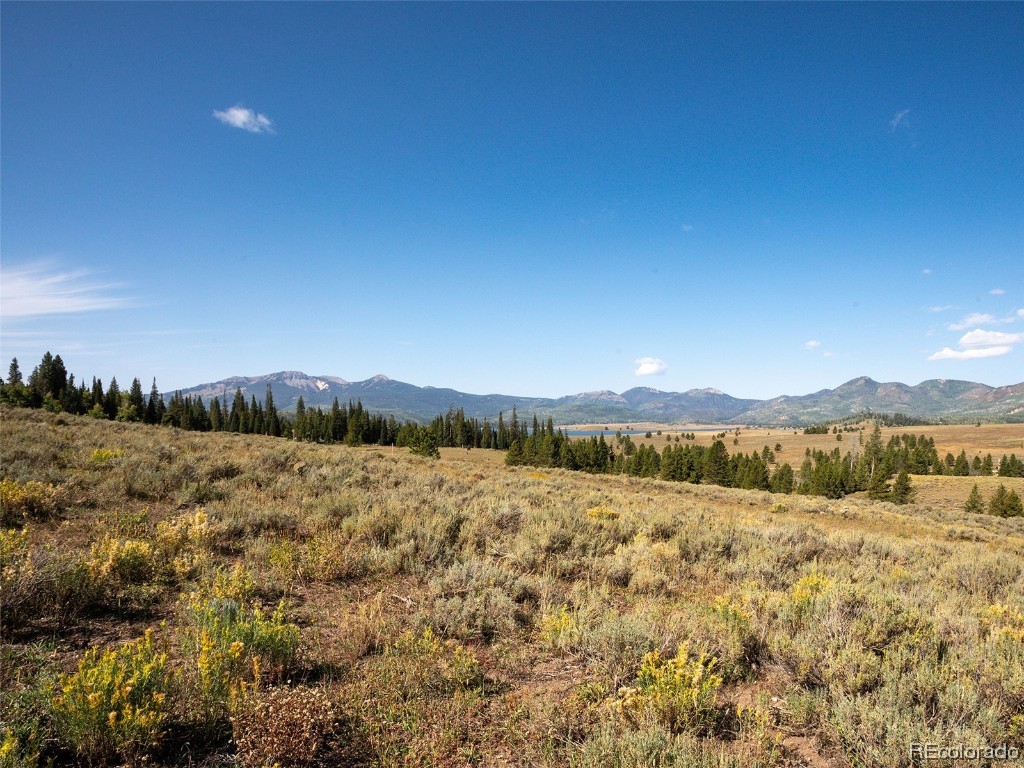 60218 Antelope Way Clark, CO 80428 - Photo 11 of 34