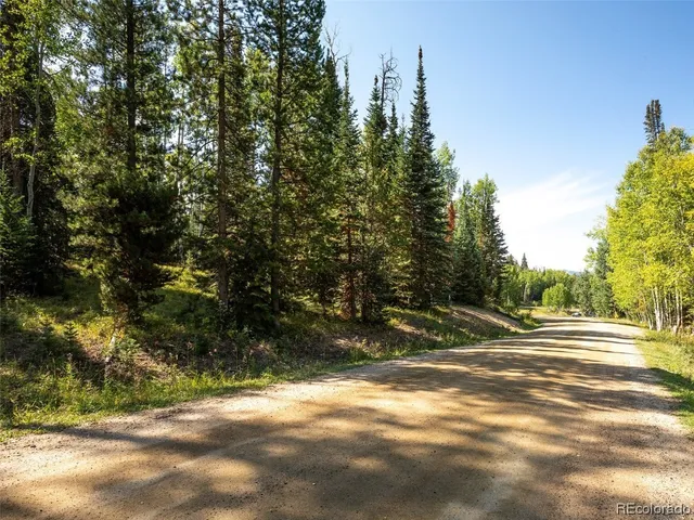 a view of a yard with trees