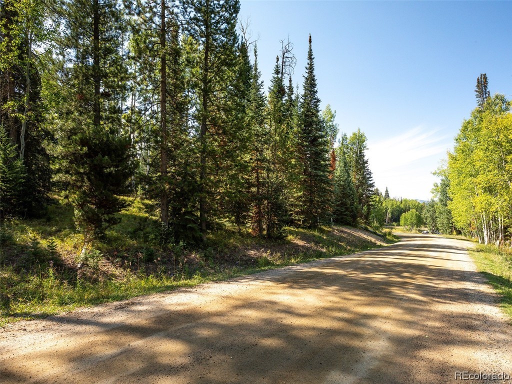 60218 Antelope Way Clark, CO 80428 - Photo 13 of 34 a backyard of a house with lots of green space