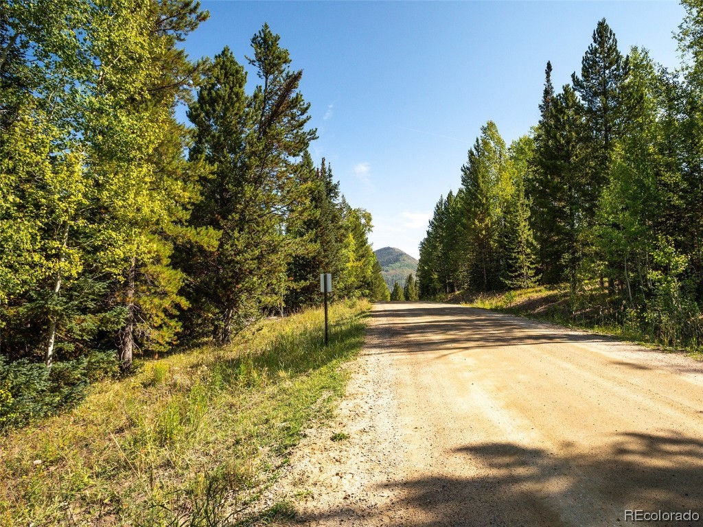 60218 Antelope Way Clark, CO 80428 - Photo 14 of 34 a view of a yard with trees