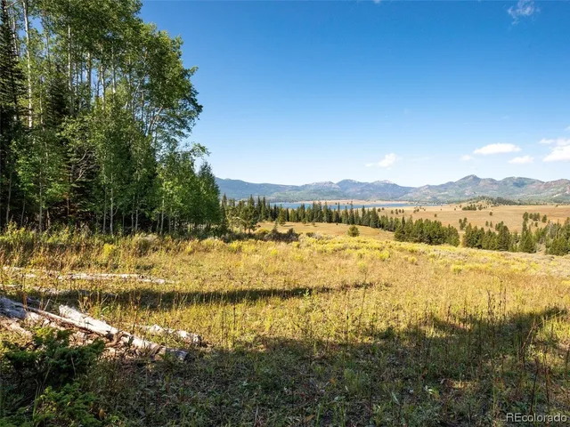 a view of outdoor space and trees