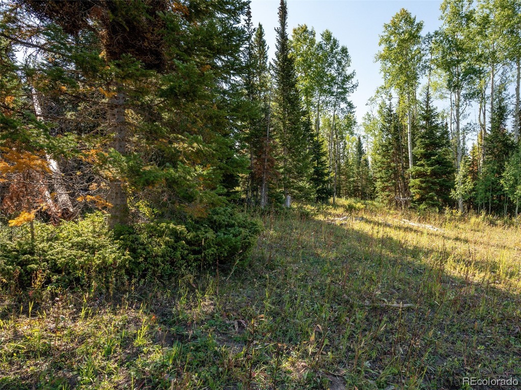 60218 Antelope Way Clark, CO 80428 - Photo 16 of 34 a view of outdoor space and trees
