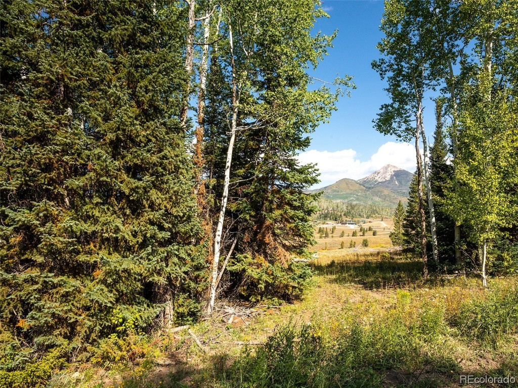 60218 Antelope Way Clark, CO 80428 - Photo 19 of 34 a view of lake view