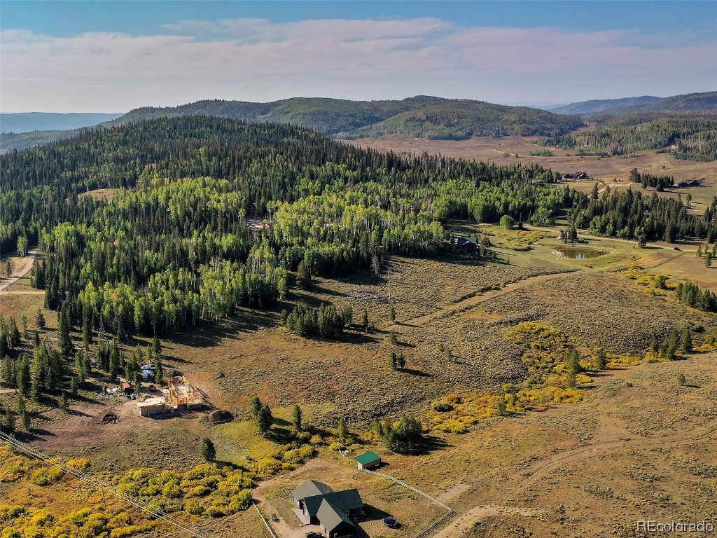60218 Antelope Way Clark, CO 80428 - Photo 26 of 34 a view of a backyard