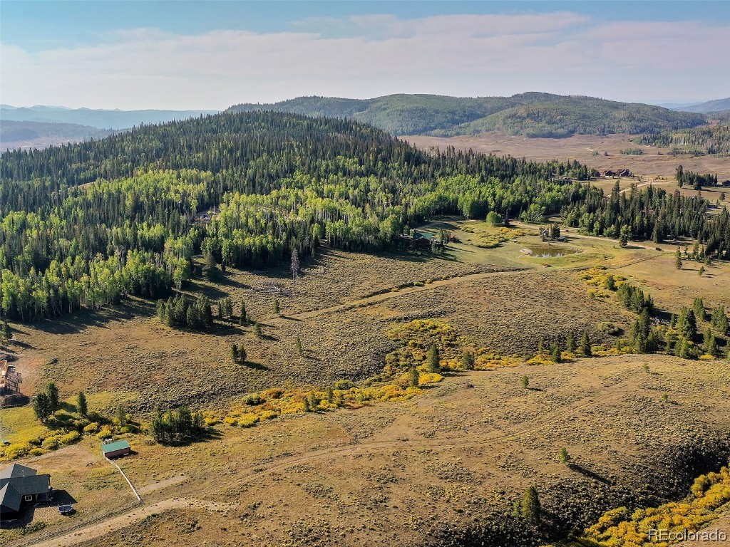 60218 Antelope Way Clark, CO 80428 - Photo 6 of 34 a view of a backyard of a house