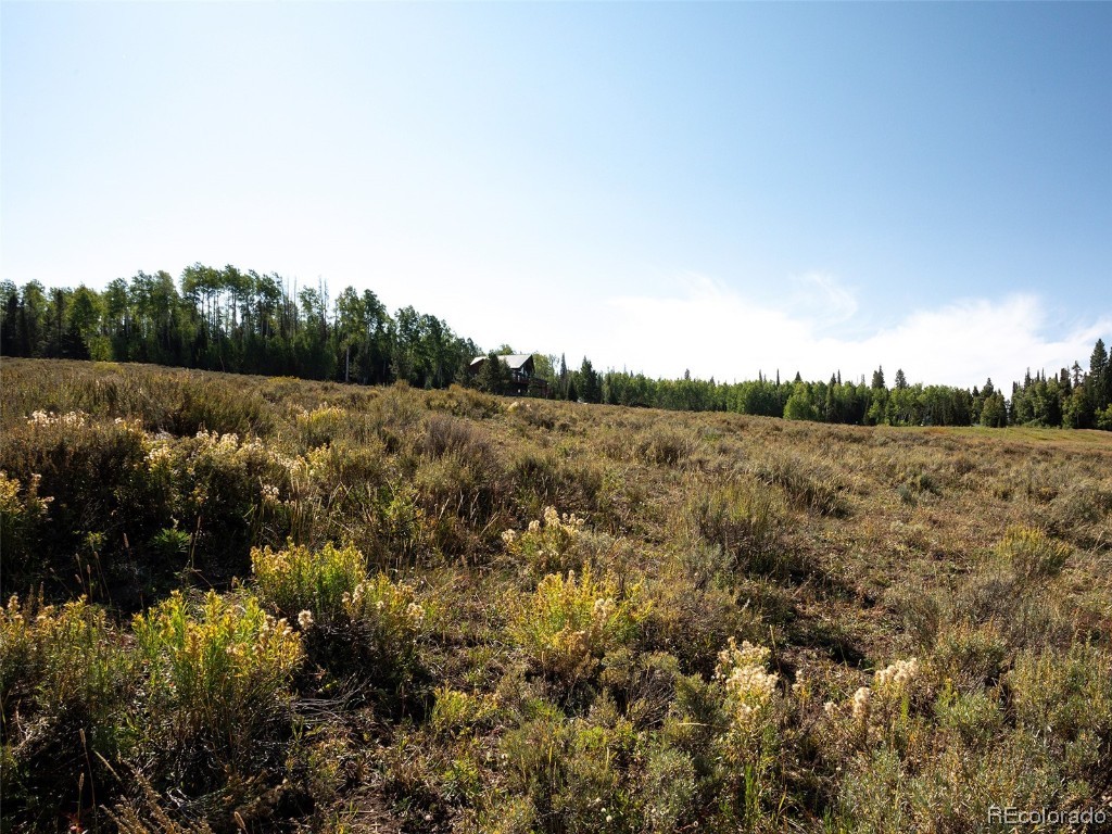 60218 Antelope Way Clark, CO 80428 - Photo 7 of 34 a view of a forest with trees