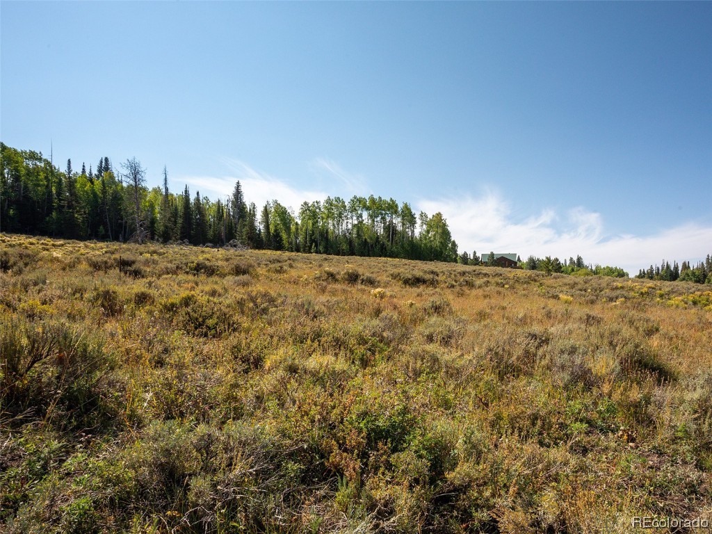 60218 Antelope Way Clark, CO 80428 - Photo 9 of 34 a view of a field with trees in the background