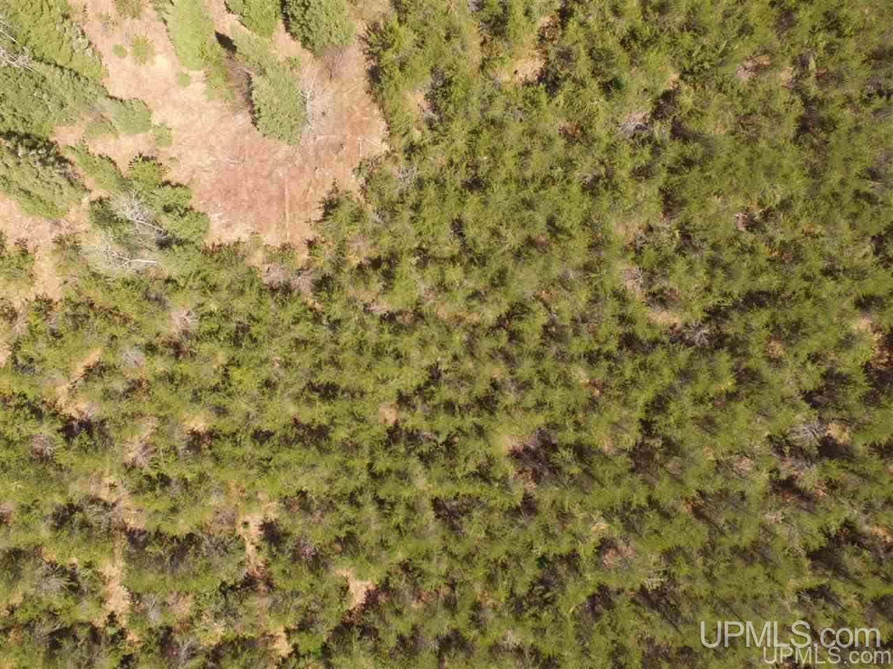 Tbd Forest Hwy 16 Road Iron River, MI 49935 - Photo 25 of 49