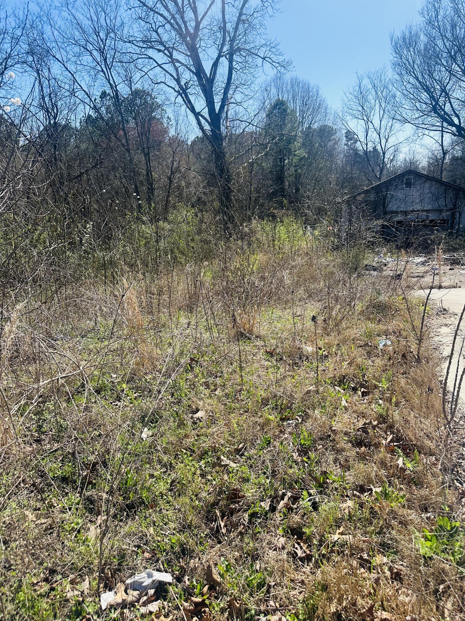 8512 East Brainerd Road Chattanooga, TN 37421 - Photo 4 of 6 IMG_0309