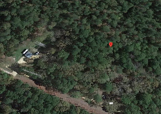 $1,950 | 0 Northeast Calhoun 116, Other, AR 71744