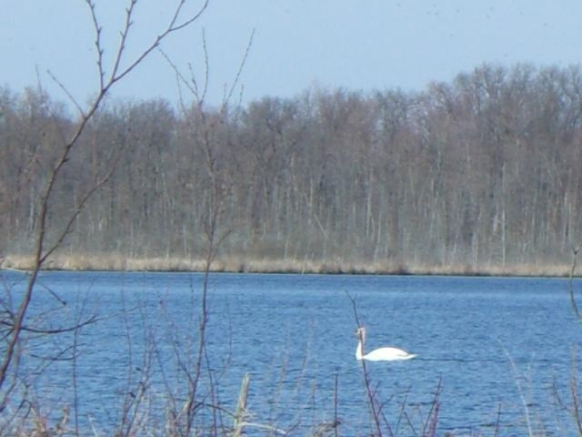 2 6 6 Mile Road Battle Creek, MI 49017 - Photo 6 of 10