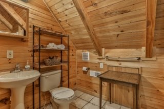 101 Moonshine Mountain Road Mineral Bluff, GA 30559 - Photo 15 of 70 a bathroom with a sink toilet and shower