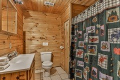 101 Moonshine Mountain Road Mineral Bluff, GA 30559 - Photo 21 of 70 a bathroom with a toilet and shower