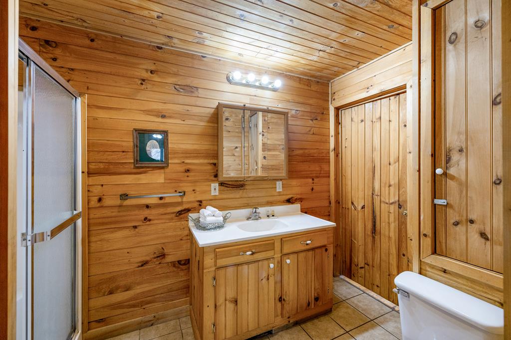 101 Moonshine Mountain Road Mineral Bluff, GA 30559 - Photo 28 of 70 a bathroom with a sink a toilet and shower