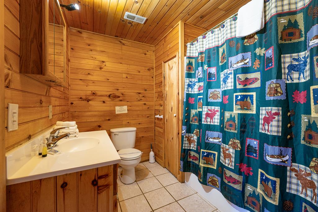 101 Moonshine Mountain Road Mineral Bluff, GA 30559 - Photo 51 of 70 a bathroom with a toilet and a shower curtain