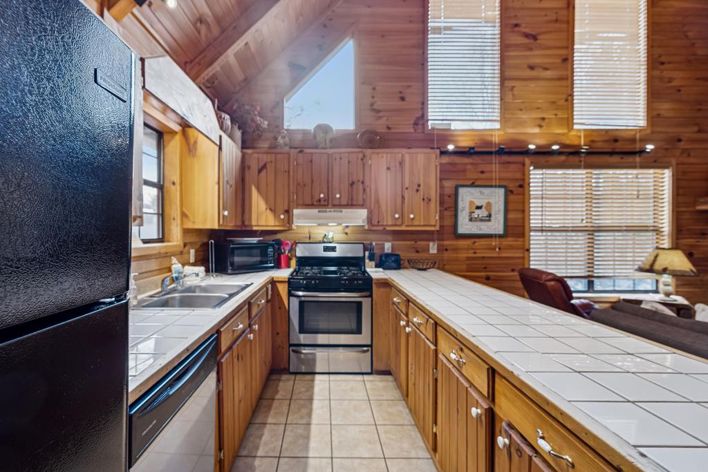 101 Moonshine Mountain Road Mineral Bluff, GA 30559 - Photo 53 of 70 a kitchen with stainless steel appliances granite countertop a sink a stove and cabinets