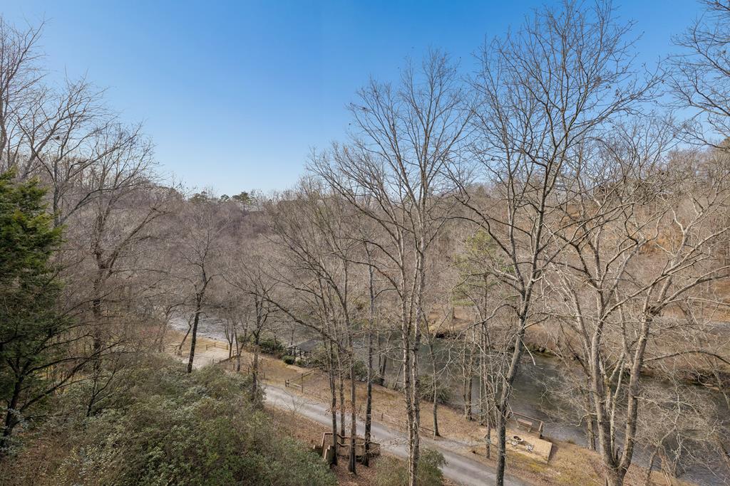 101 Moonshine Mountain Road Mineral Bluff, GA 30559 - Photo 68 of 70 a view of a forest filled with trees