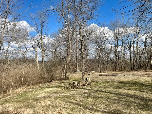 a view of a yard with a tree