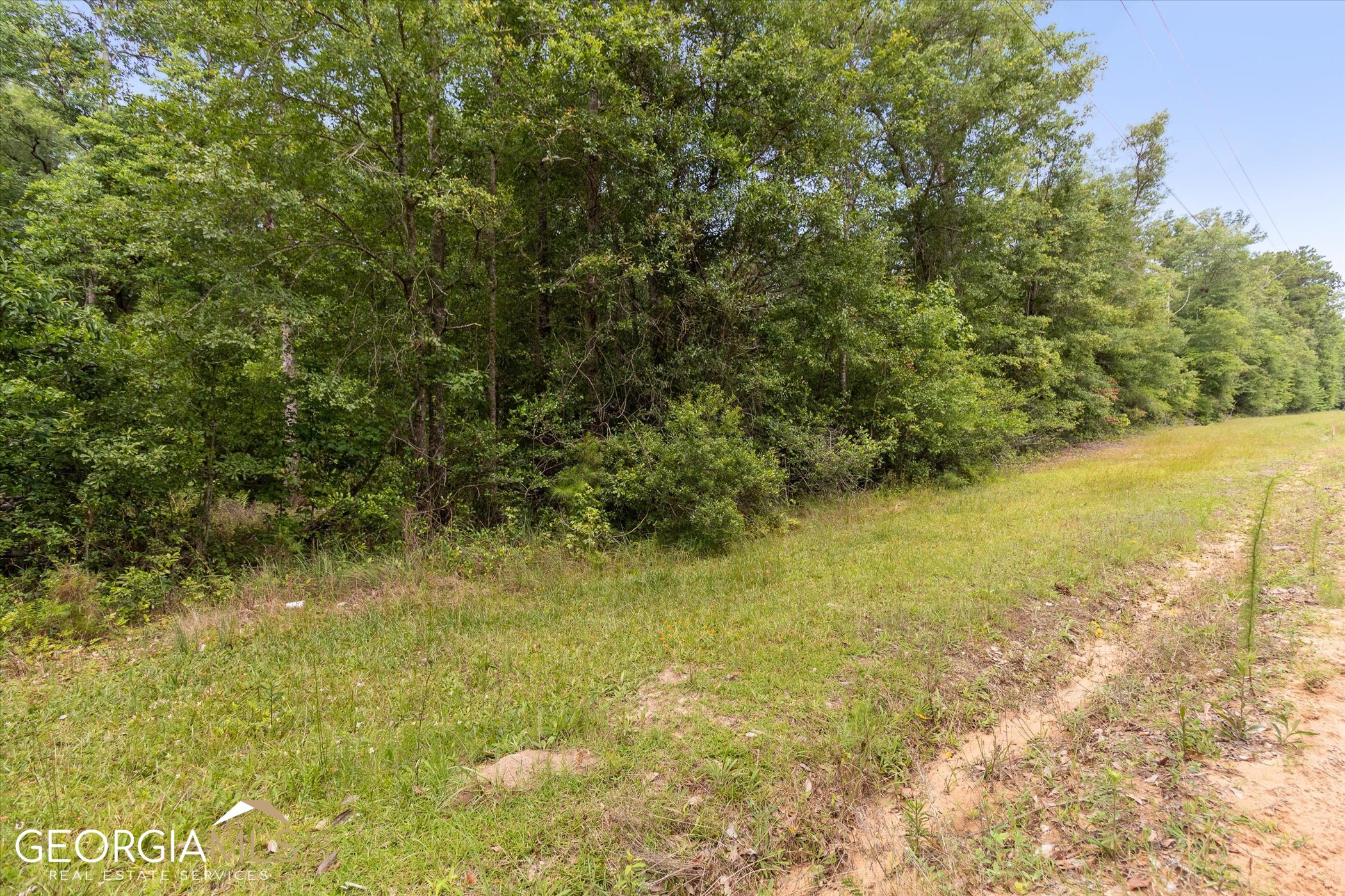 0 Clyo Shawnee Road Springfield, GA 31329 - Photo 1 of 1 Gallery Image 1