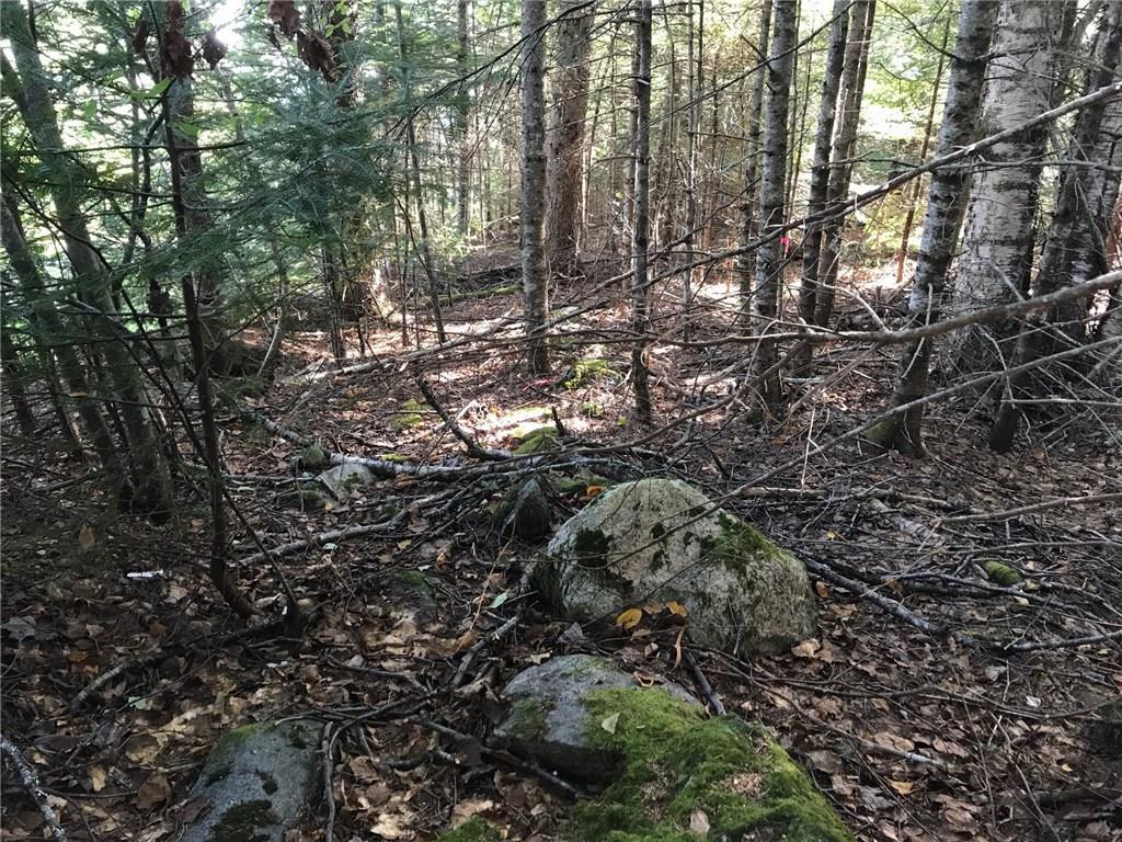 Xx Shore Road Perry, ME 04667 - Photo 37 of 77 Large rocks and flagged trees mark...