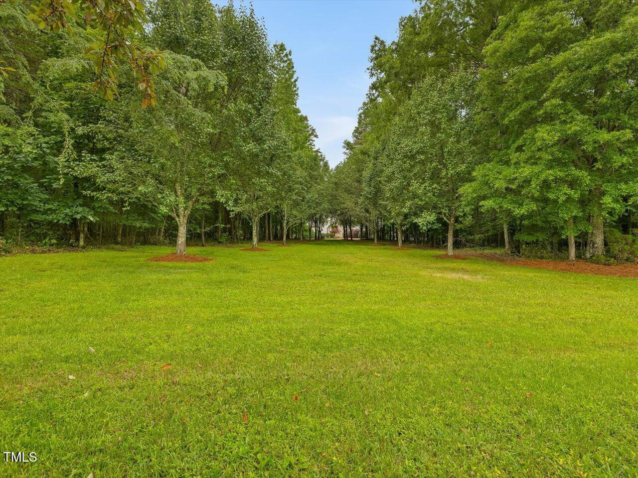 1624 Hopkins Road Bahama, NC 27503 - Photo 96 of 100 Gorgeous orchard between Main house and Barn