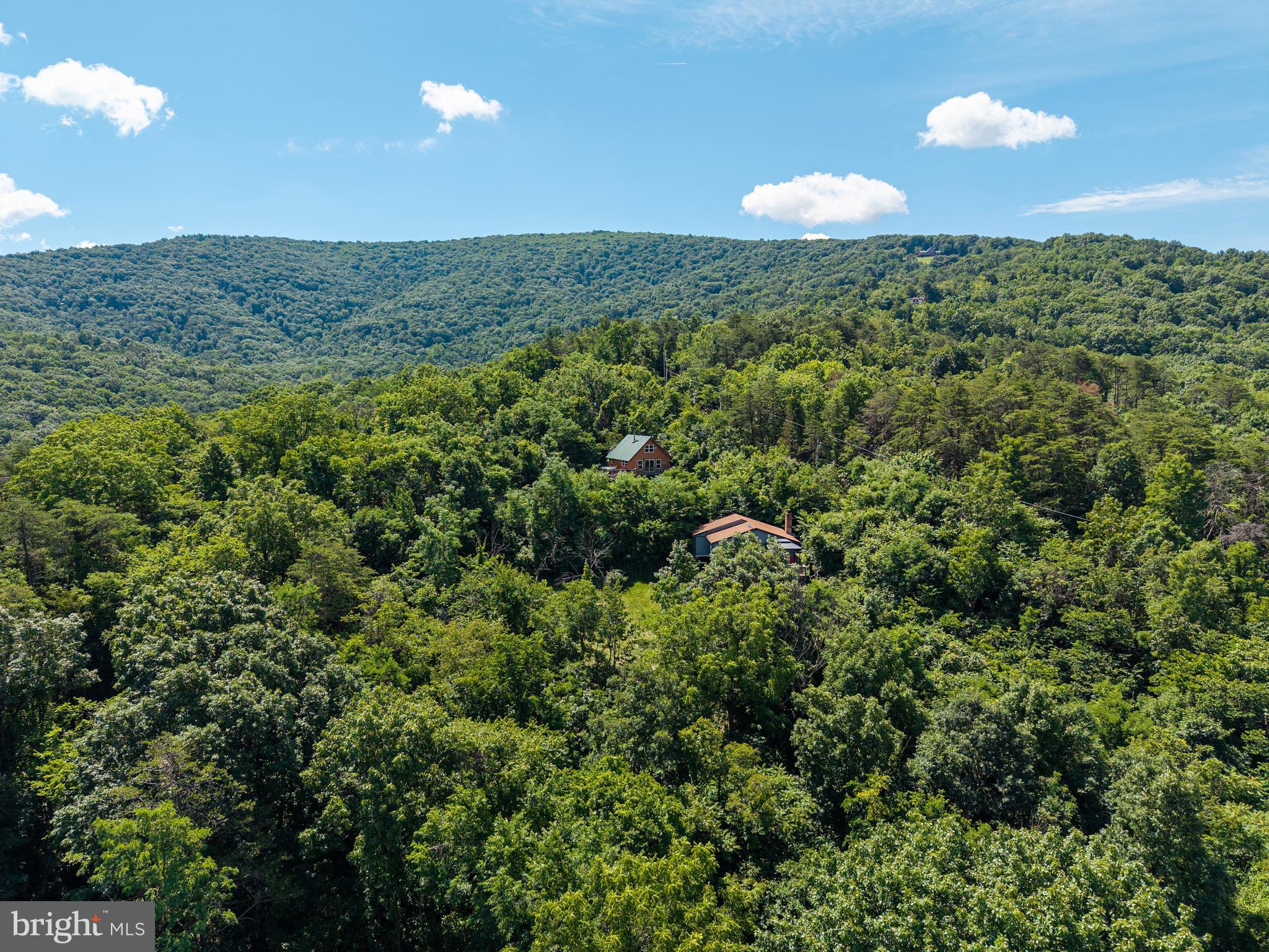 707 Overlook Drive Rileyville, VA 22650 - Photo 75 of 94