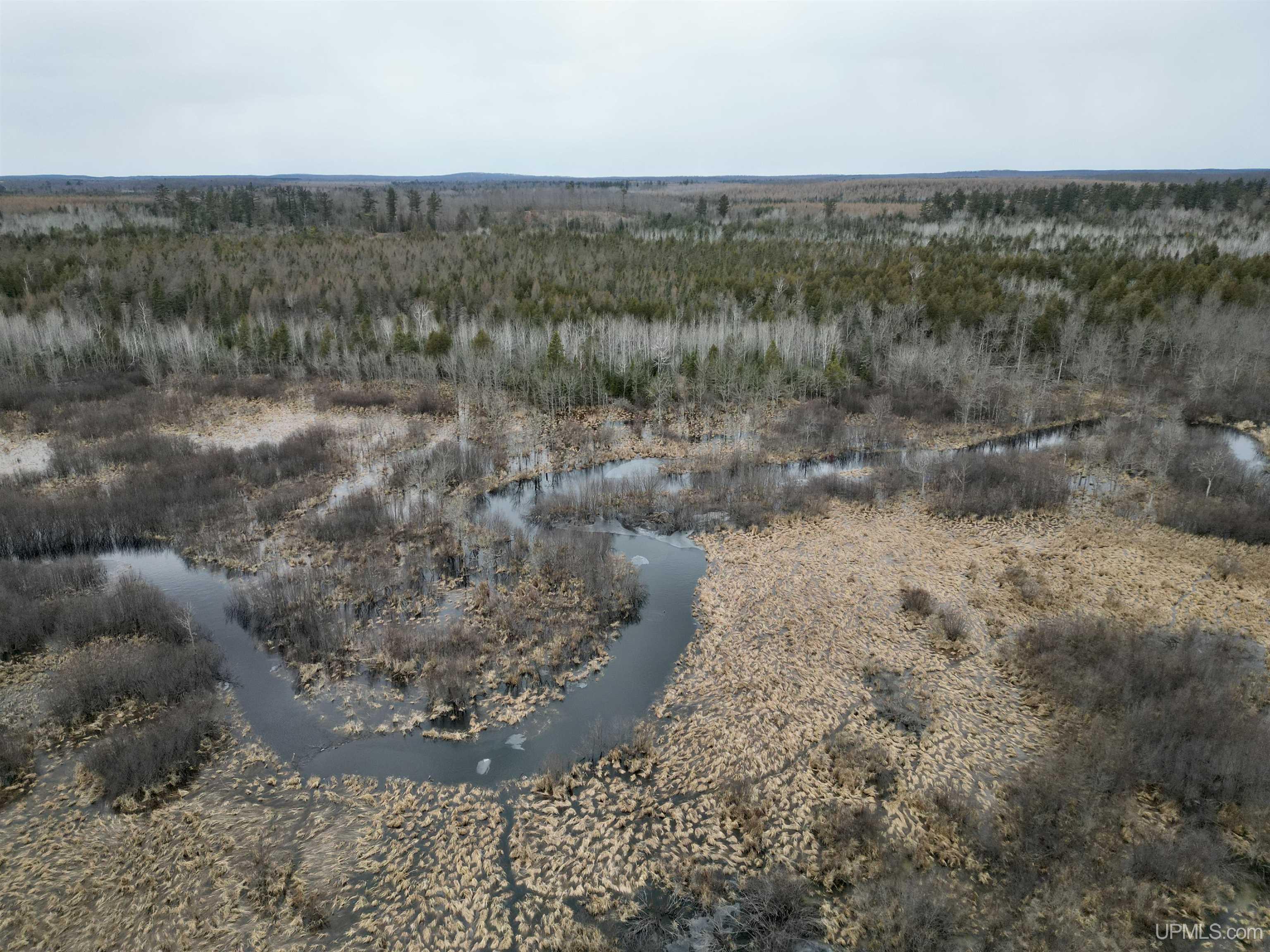 Tbd Tbd Off River Road Powers, MI 49874 - Photo 9 of 18 Gallery Image 9