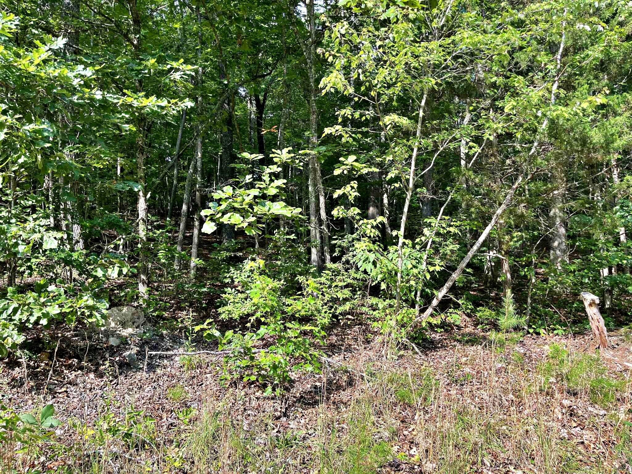 2 Keylon Hollow Road Ten Mile, TN 37880 - Photo 9 of 10
