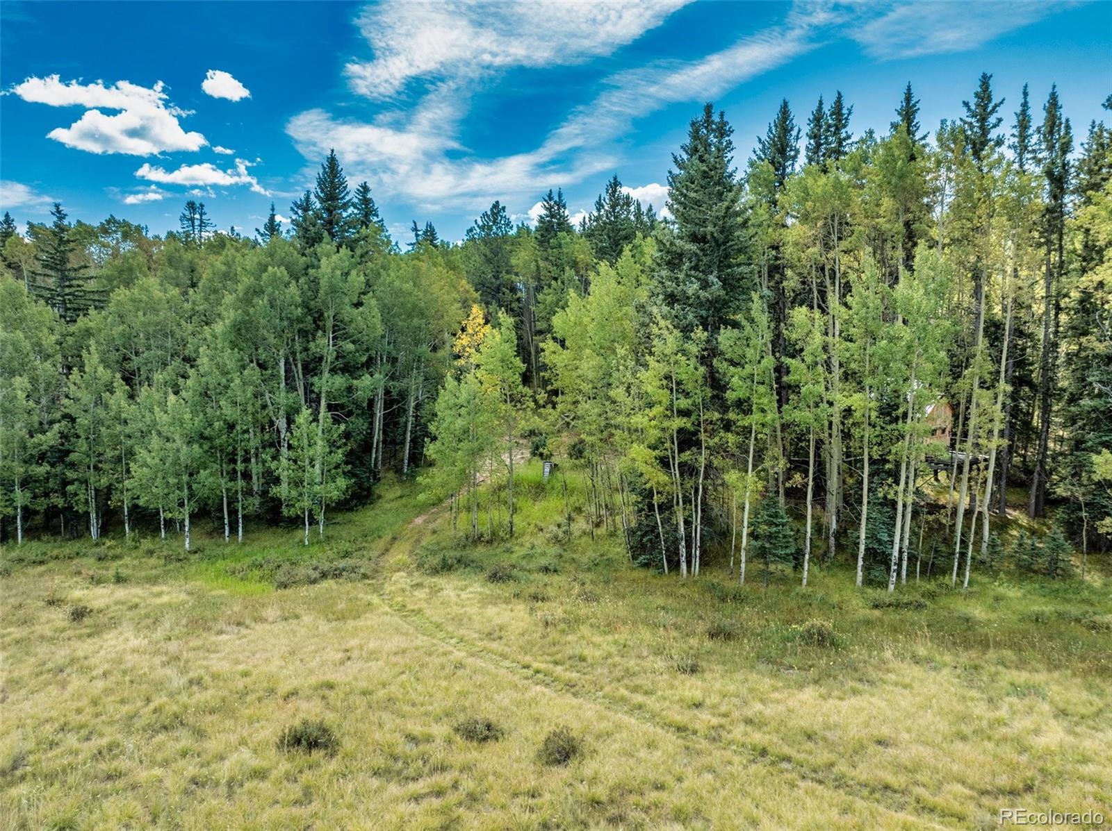 284 County Road 511 Divide, CO 80814 - Photo 48 of 50