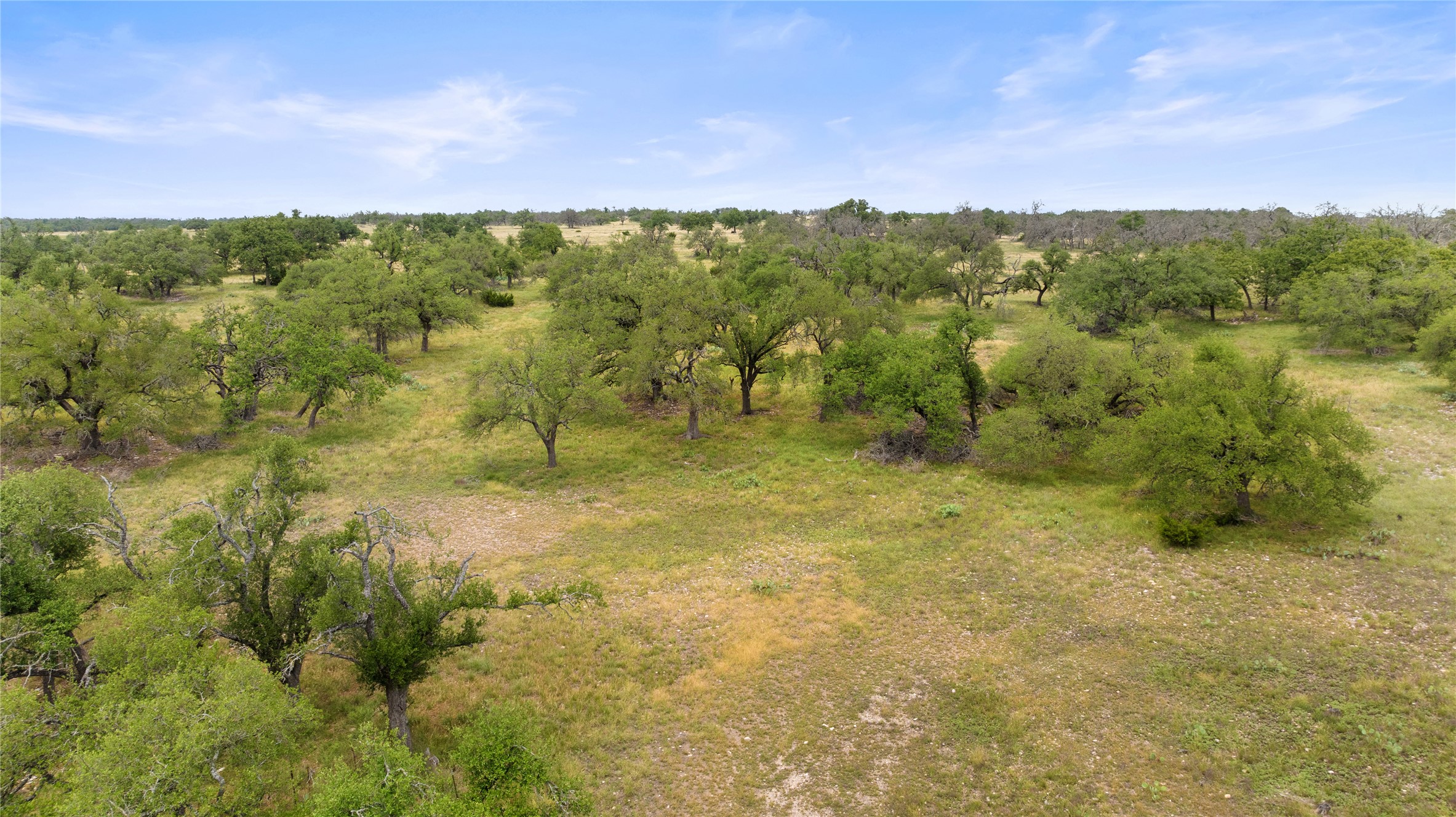3049 Reservation Road Harper, TX 78631 - Photo 18 of 40 a view of a city with lush green forest
