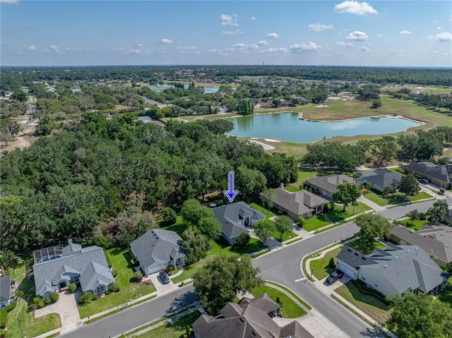 an aerial view of residential houses with outdoor space and lake view