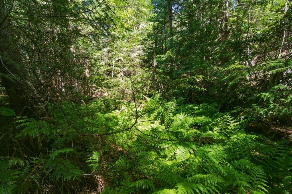 1301 Veit Road Newport, WA 99156 - Photo 14 of 33