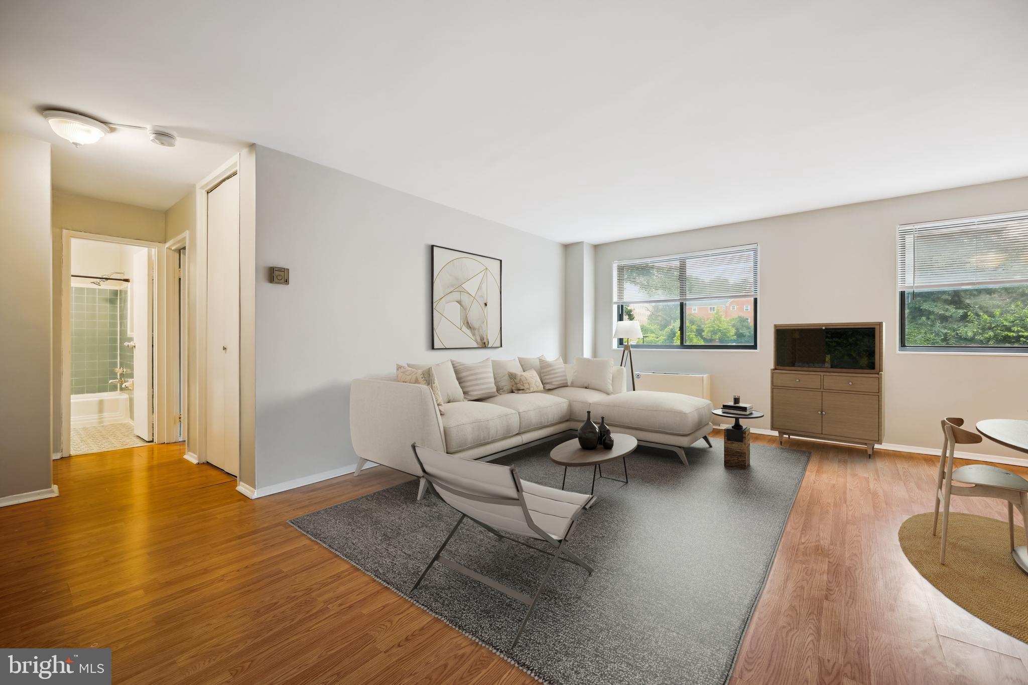 8601 Manchester Road, Unit 319 Silver Spring, MD 20901 - Photo 4 of 70 a living room with furniture and a fireplace