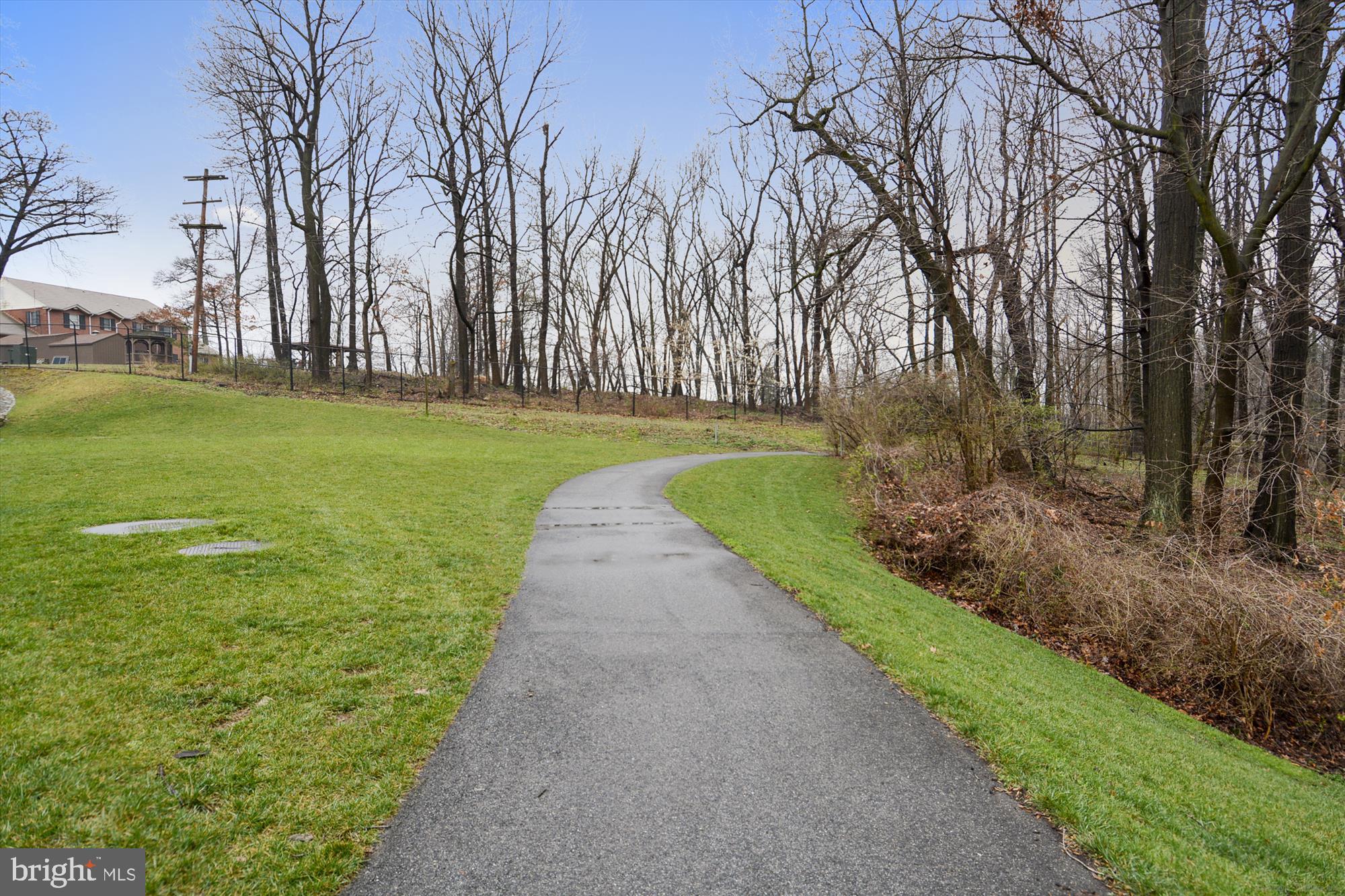 8601 Manchester Road, Unit 319 Silver Spring, MD 20901 - Photo 39 of 70 a view of a park with large trees