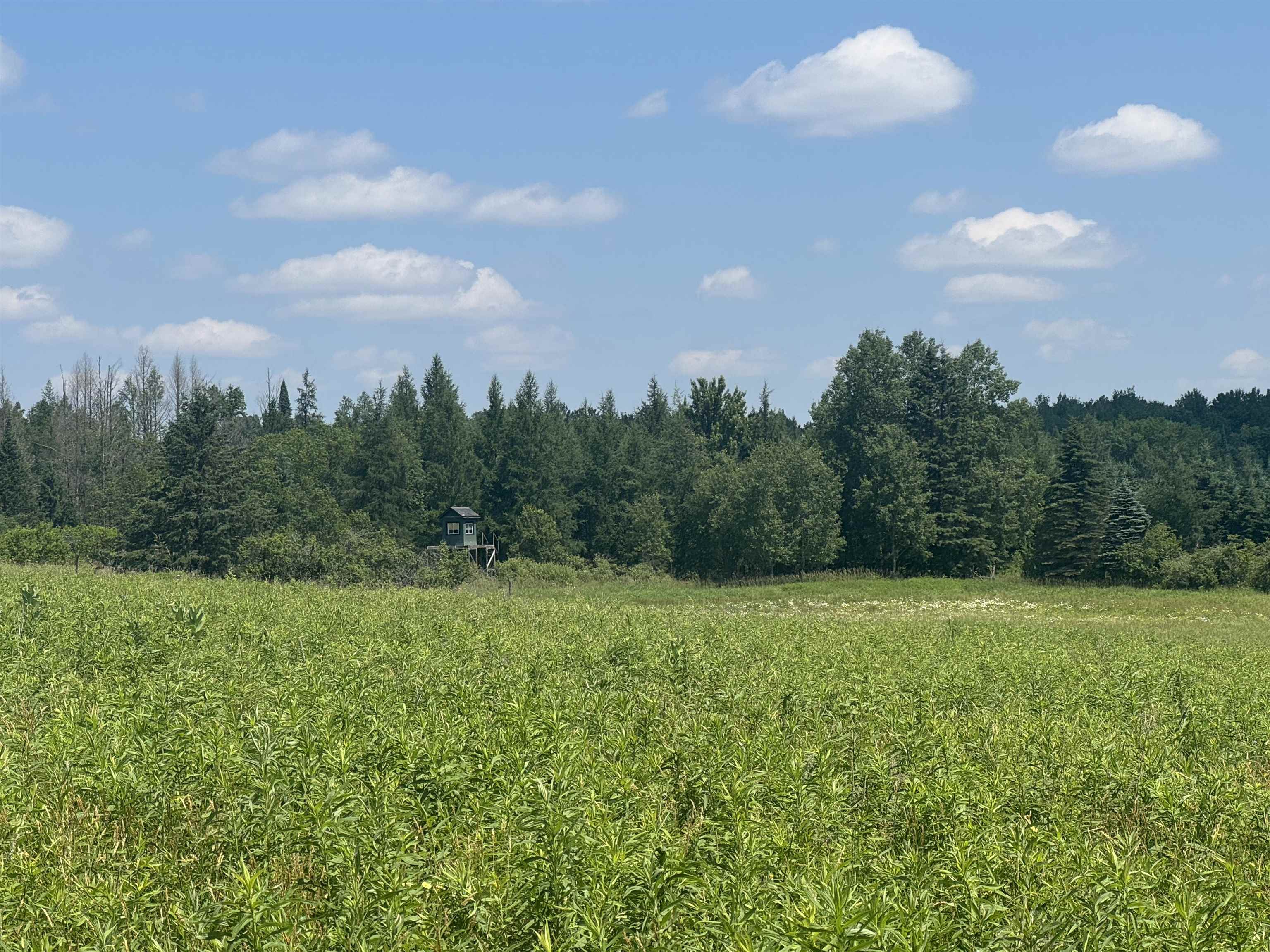 75500 Joe Rein Road Glidden, WI 54527 - Photo 51 of 54